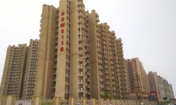 नोएडा में संपत्ति की कीमतें बढ़ाने के लिए नई सर्किल दरें, उच्च स्टाम्प ड्यूटी 