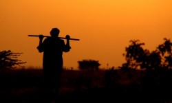 # रियल्टी न्यूज राउंडअप: यूपी पीएमए ग्रामीण के तहत 7 लाख से अधिक इकाइयां बनाता है 