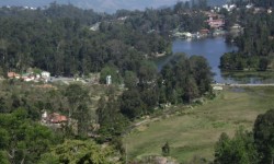 दुनिया भर में भूमि पंजीकरण कितना आसान है? 