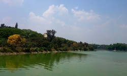 क्या बेंगलुरू में एनजीटी बफर जोन ऑर्डर मेड प्रॉपर्टी है? 