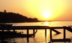 खरीदार झुंड दक्षिण गोपाल के लिए उसकी वजह यहाँ है 