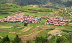 रियल एस्टेट ग्रोथ की महत्वपूर्ण क्यों आधिकारिक भूमि रिकॉर्ड्स हैं 