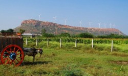 राष्ट्रीय भूमि उपयोगिता नीति के बारे में जानने के लिए चीजें 