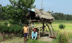 ग्रामीण भारत में घरेलू परिसंपत्ति वितरण क्या है? 