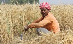 भारत में घरेलू संपत्ति वितरण क्या हमें बताता है 