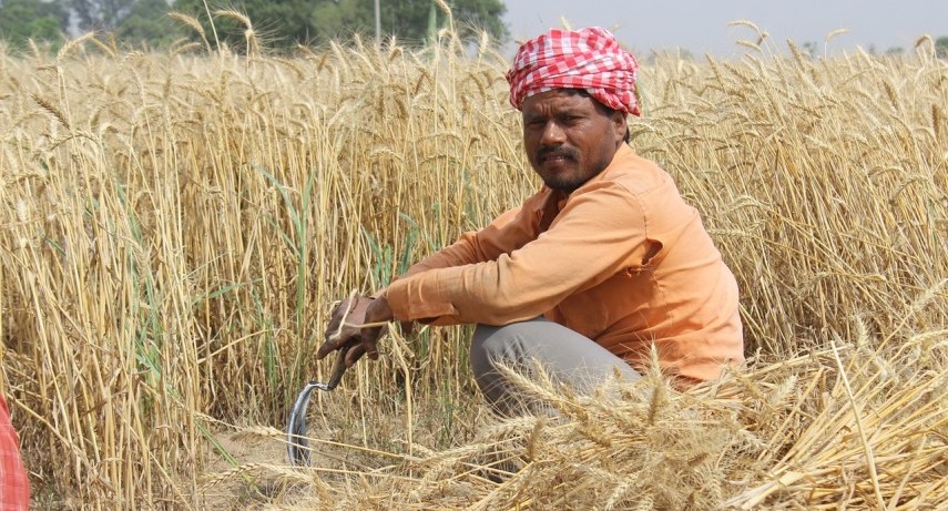 What Household Asset Distribution In India Tells Us