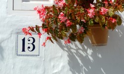 ख़रीदना 'विशेष रूप से रखे गए' गुणों के बारे में कैसे? 