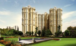 Here's What Drives The Realty Market Of Sector 118 Noida