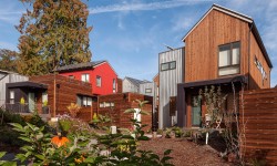 अधिक घरों में कम पेड़ों का मतलब नहीं है यहां बताया गया है कि समुदाय कैसे सहायता कर सकता है 