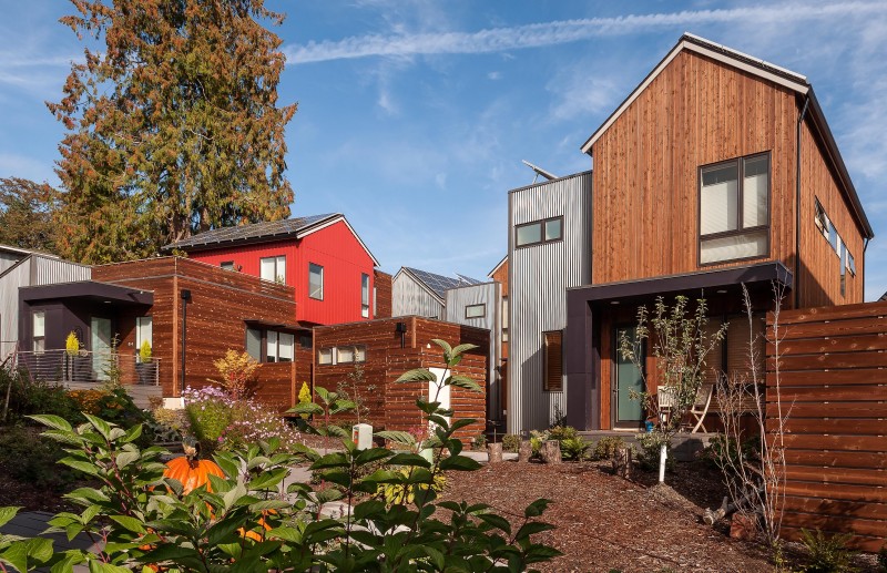 More Homes Don't Mean Fewer Trees. Here is How Community Can Help