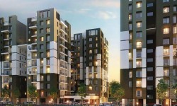 प्रोजेक्ट ऑफ दी वीक: अनिमर्क स्प्रिंगफील्ड कोलकाता 