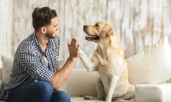 किराए पर रहने की जगह तलाशने के लिए क्या यह कानूनी है? 