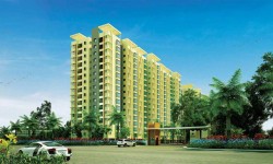 वीक की परियोजना: एलायंस गैलेरिया, चेन्नई 