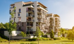 Are You Aware Of These Recent NGT Rulings in Delhi-NCR?