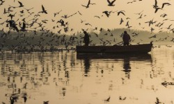 Yamuna Riverfront Development Plan Set To Take Shape