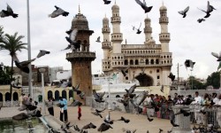 पूर्व हियरडाबाद की निवेश क्षमता 