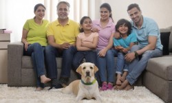 आरडब्ल्यूएएस के पेट पीवी कानून के खिलाफ हैं 