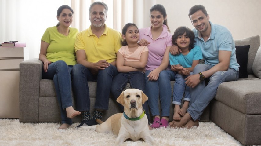 आरडब्ल्यूएएस के पेट पीवी कानून के खिलाफ हैं 