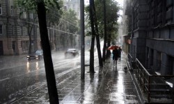 वर्षा आपकी इमारत संरचना, हाथी युक्तियों को नुकसान से बचने के लिए प्रभावित कर सकता है 