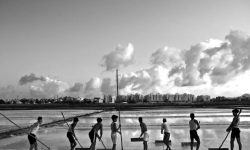 आपको नमक-पान भूमि के बारे में जानने की आवश्यकता है 