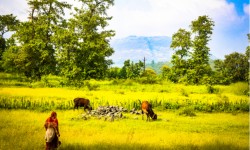 Why Palghar's Govardhan Eco Village Is A True Inspiration