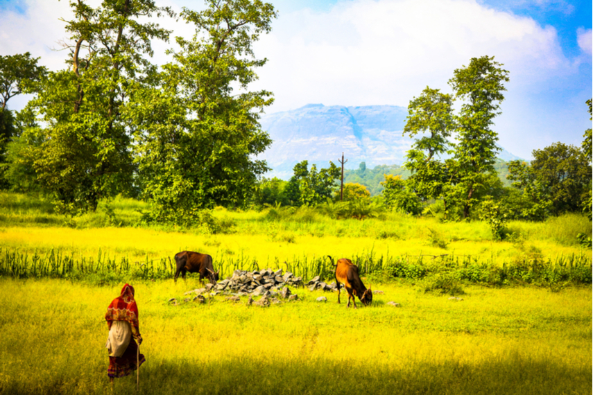 Why Palghar's Govardhan Eco Village Is A True Inspiration