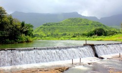 आप एनरेल में बिग लाइव करने का सहारा ले सकते हैं 