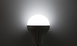 All You Need To Know About SDMC's LED Programme