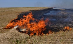 # रीयल्टी न्यूजराउंडअप: सरकार प्रदूषण से लड़ने के लिए स्टबल बर्निंग को रोकने के लिए परियोजना को मंजूरी दे रही है 