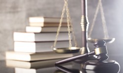 Over 400 Complaints Registered With TN RERA