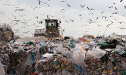 सभी को आपको सेक्टर 137 नोएडा डंपिंग ग्राउंड के बारे में जानने की ज़रूरत है 