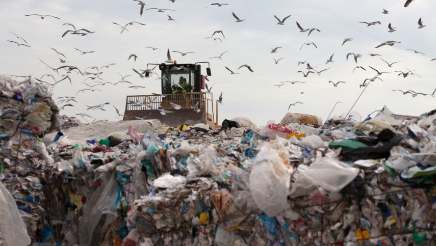 Noida Authority To Remove Landfill Site From Sector 54