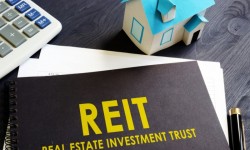 Embassy REIT Raises Rs 750 Crore Via NCDs