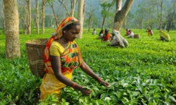 #RealtyNewsRoundUp: ‘About 271 Million Indians Moved Out Of Poverty In A Decade’