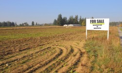 Things To Know About Land Conversion Procedure In Karnataka  