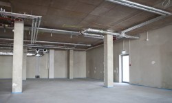 Bare-Shell V/s Warm-Shell Properties: Which One Should You Go For?