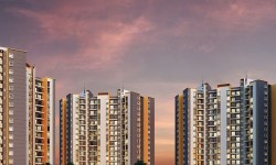 In Focus: Sensorium By Shapoorji Pallonji Real Estate