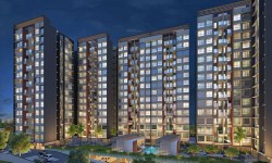 In Focus: Kohinoor Coral by Kohinoor Group