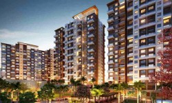 In Focus: Kalpataru Paramount from Kalpataru Group