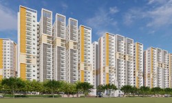 In Focus: Muppa Melody By Muppa Projects India