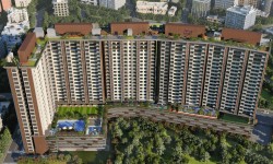 In Focus: Codename Unbelievable By Paradigm Realty