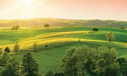 In Focus: Loharuka Urban Vista Phase I By Loharuka Group