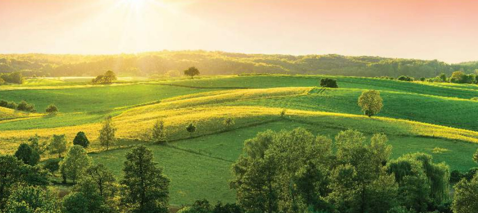 In Focus: Loharuka Urban Vista Phase I By Loharuka Group