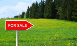 In Focus: Prestige Beverly Hills By Prestige Group