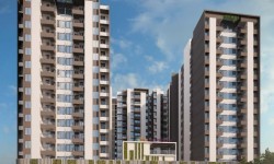 In Focus: Waterfront By Saheel