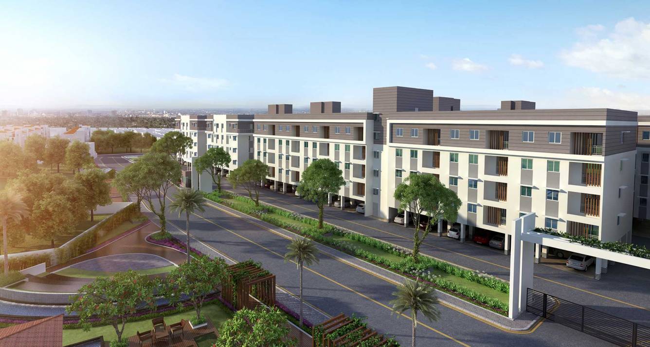 In Focus: TVS Green Acres From TVS Emerald