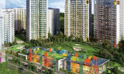 In Focus: Hero Homes By Hero Realty