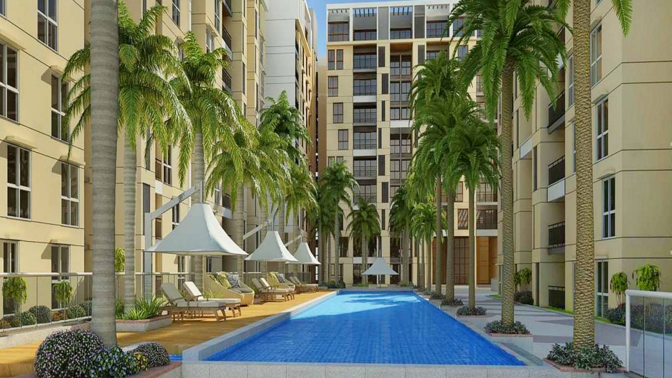 In Focus: Raj Greenbay By SNN