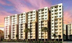 In Focus: Kenworth By Provident Housing