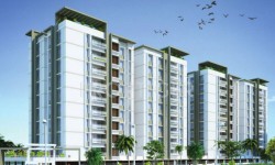 In Focus: DRA Elite By DRA Group